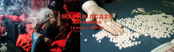 гидропоника Абаза