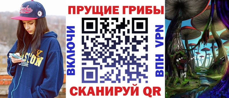 kraken ONION  Иркутск  Псилоцибиновые грибы Magic Shrooms  купить наркотики цена 